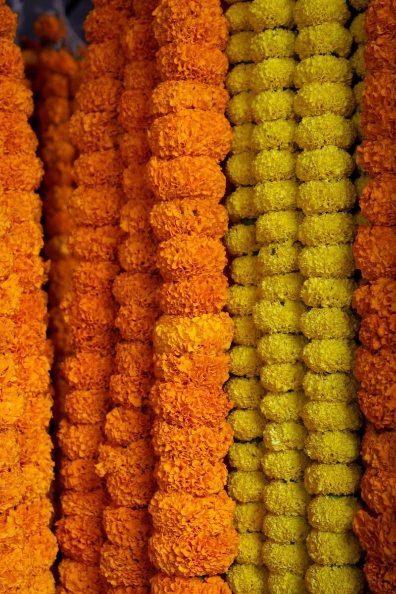 Strings of marigold garlands